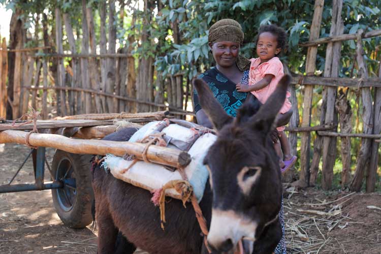 Mutter mit kleinem Kind im Arm und einem Esel in Äthiopien