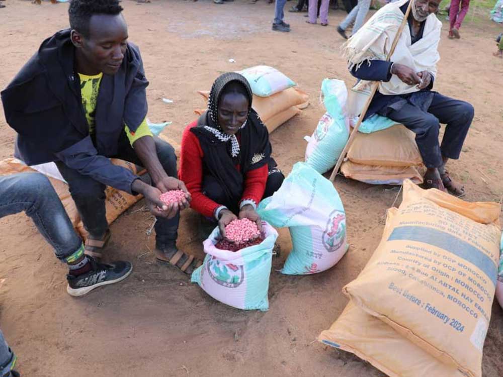 Ein Mann und eine Frau begutachten Saatgut im Rahmen einer Nothilfeverteilung in Äthiopien